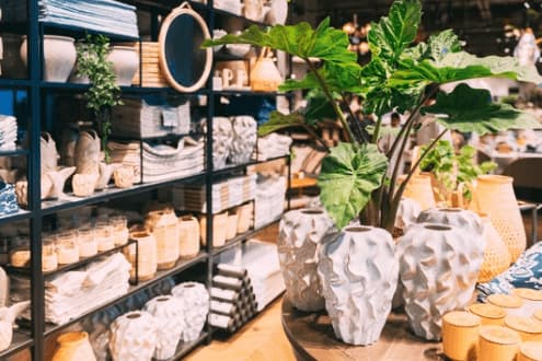 derattizzazione negozio