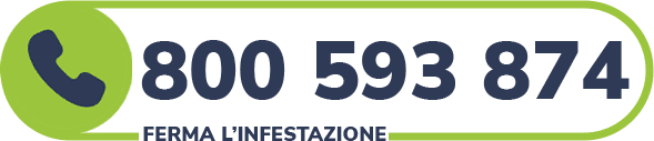 numero verde