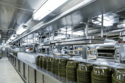 derattizzazione cucina ristorante