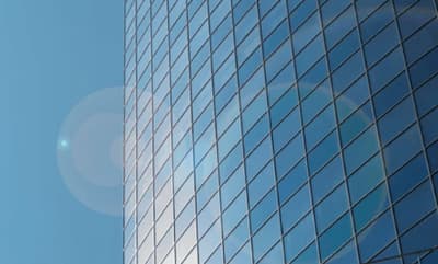 disinfestazione topi in azienda