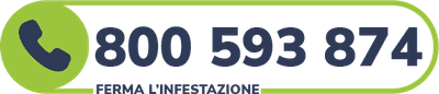 numero verde