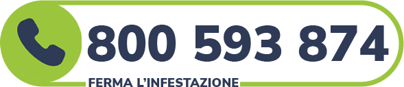 numero verde